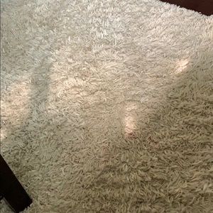 Meet your Posher, Anne